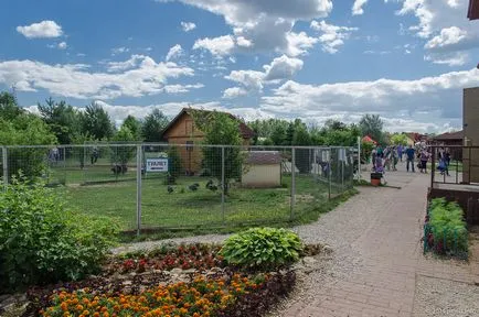 Bird Park - vrăbii - suburbii Weekend