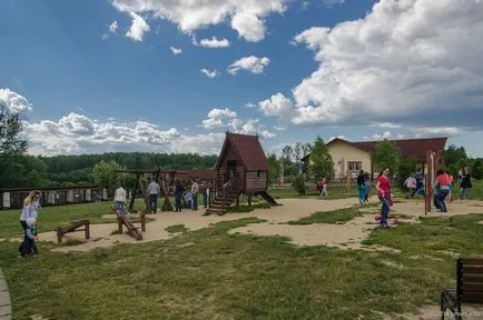 Bird Park - vrăbii - suburbii Weekend