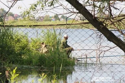 Lake nem hibáztatom 