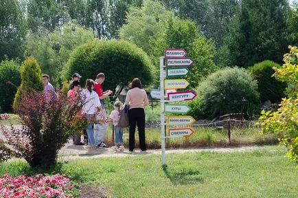 Bird Park - vrăbii - suburbii Weekend