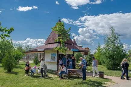 Bird Park - vrăbii - suburbii Weekend