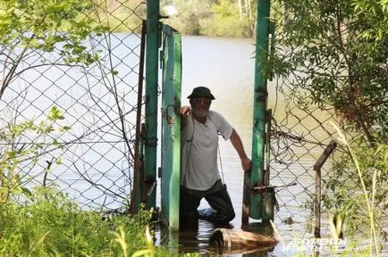 Lake nem hibáztatom 