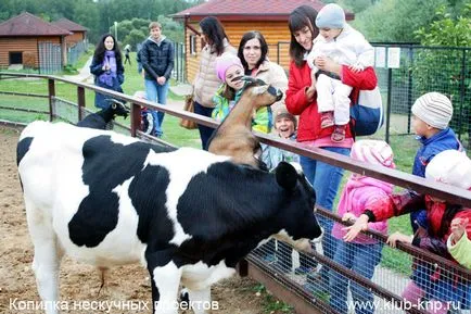 Bird Park „verebek” a Kaluga régióban