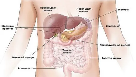 De ce doare ficatul la om, simptomele și cauzele durerii