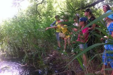 A munkaterv a nyári pihenés táborokban napos - Rainbow