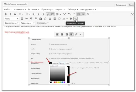 Plugin - spoiler avansat - text în Windows konteynereprogrammy - WordPress