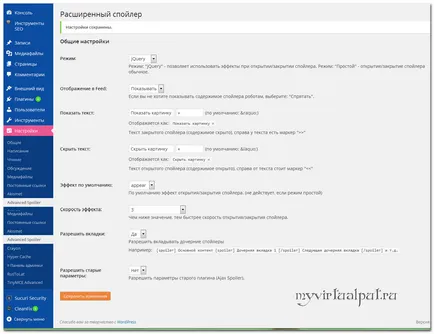 Plugin - spoiler avansat - text în Windows konteynereprogrammy - WordPress