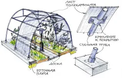 Plantarea într-un policarbonat de îngrijire deosebită cu efect de seră