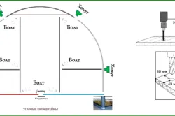 Plantarea într-un policarbonat de îngrijire deosebită cu efect de seră