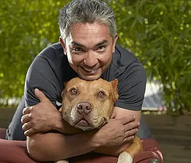 Reguli merge cu un câine de Cesar Millan