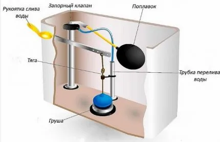 Plutitorul pentru WC cum să se adapteze și schimbarea în rezervor