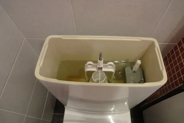 Plutitorul pentru WC cum să se adapteze și schimbarea în rezervor