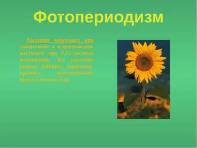 Представяне - светлина като екологичен фактор - изтеглите презентацията на екологията