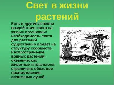 Представяне - светлина като екологичен фактор - изтеглите презентацията на екологията