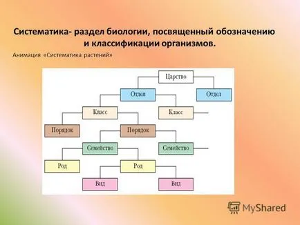 Prezentarea pe o lecție - conceptul de ifikatsiya a plantelor - în scopul formării conceptului de taxonomică