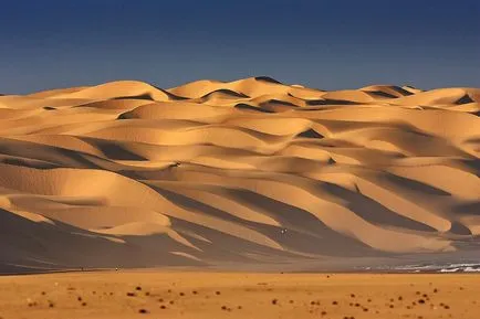 Пустинята Намиб в Намибия, подробно снимка