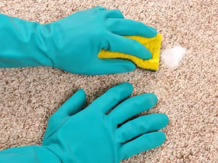 Hogyan tisztítsa meg a szőnyeget otthon vélemények