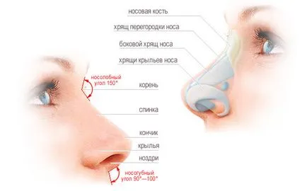 Rinoplastia (operația nasului) - ce este, înainte și după fotografii, comentarii, pret