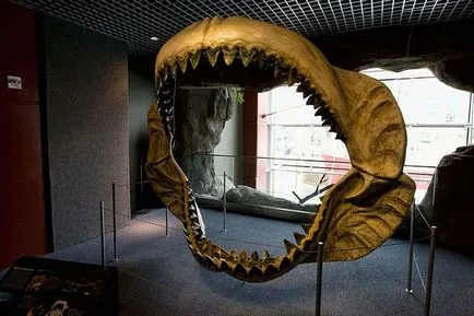 A legnagyobb cápa a világon a fényképet Megalodon - topkin, 2017