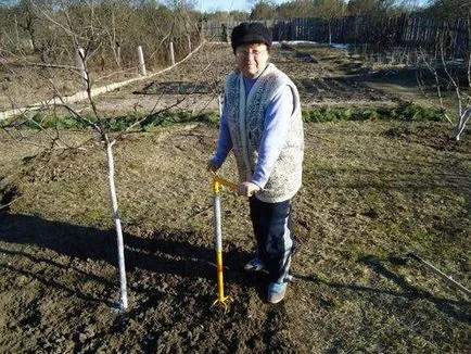 Ръчно култиватор торнадо на снимки и отзиви за премахване на корените и картофа - моят живот