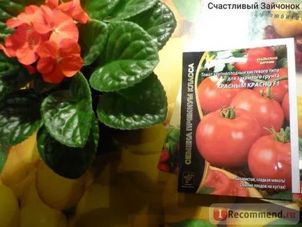 Семена Урал курортист домати червен червен f1 - «доматено червено червено е взел достойно място в