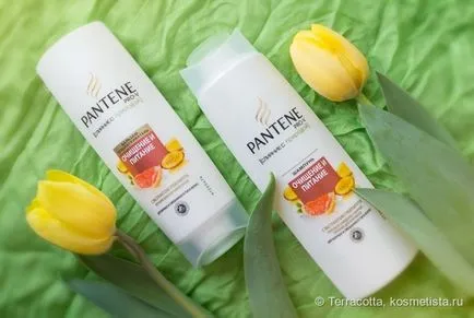 Sampon és balzsam Pantene Pro-V - takarítás és vendéglátás - vélemények