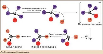 Suprafețele Silanated și lichid condiționat în stomatologie - dentare tribună Rusia №02