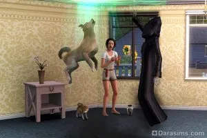 Кучета и кутрета при домашните любимци The Sims 3