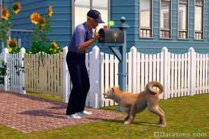 Kutyák és a kölykök a Sims 3 háziállat