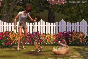 Кучета и кутрета при домашните любимци The Sims 3