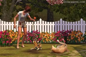 Kutyák és a kölykök a Sims 3 háziállat