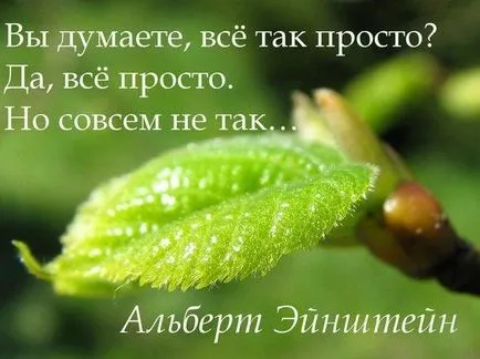 Член защо твърденията не работят Ведите - центъра на езотерична психология Алена танц