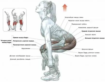 Îndreptare cum să facă exerciții complexe - sănătate roșu