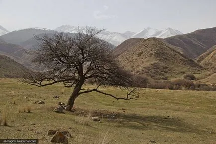 Tamga-Tash - Pietre budiști