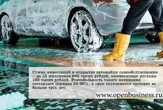 Чисто автомивка бизнес организация