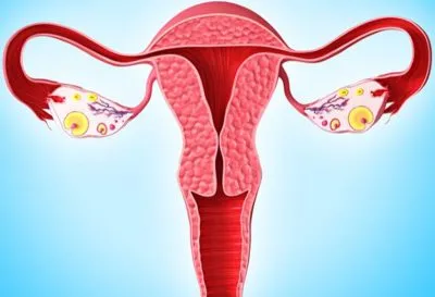 tonusul uterului în timpul sarcinii simptome în primul trimestru, simptomele și cauzele stadiile incipiente,
