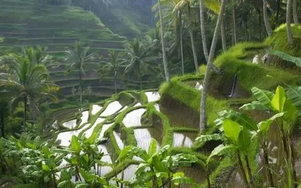 Thaiföldön vagy Bali