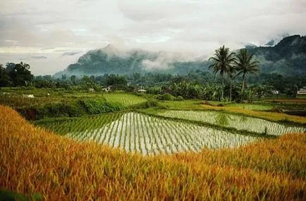 Thaiföldön vagy Bali