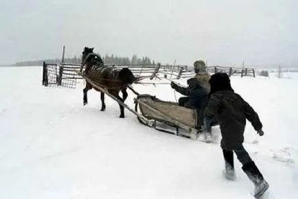 Това ума, преди да говори