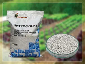 Fertilizare Nitrofoska® - aplicare, compoziția și avantajele