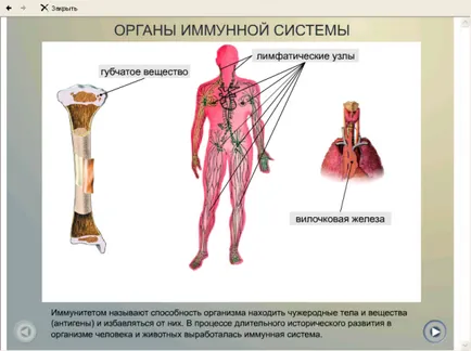 Lecții de biologie în clasa a imunității 8 temă