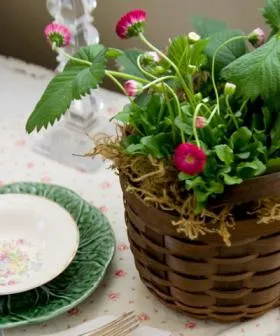 Florarii margarete de primăvară într-un buchet - 21 fotografii de idei originale