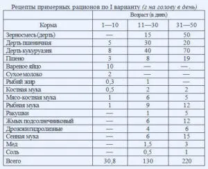 Клане патиците в дома на снимки и видеоклипове