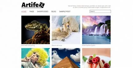 30 Wordpress шаблони Портфолио фотограф