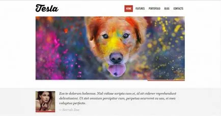 30 Wordpress sablonok Portfolio fényképész