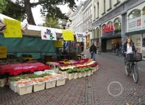 Какво да видим в 2 дни в Утрехт, идеи за пътуване