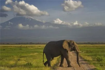 Afrika - egy egyedülálló kontinens