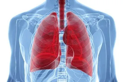 Ateroscleroza pulmonare cauze, simptome și tratament