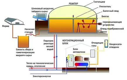 Biogazul proprii de gaz mâinile de gunoi de grajd in casa, instalarea unei ferme, video