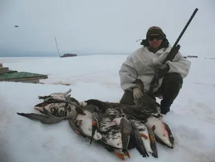 studiu Marea Barents, în cazul în care, fotografii, videoclipuri